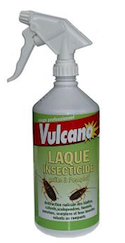 Main Humaine Pulvérisation D'insecticide Sur Cafard Mort. Lutte  Antiparasitaire, Concept De Santé Et D'hygiène, Espace De Copie Banque  D'Images et Photos Libres De Droits. Image 110540693