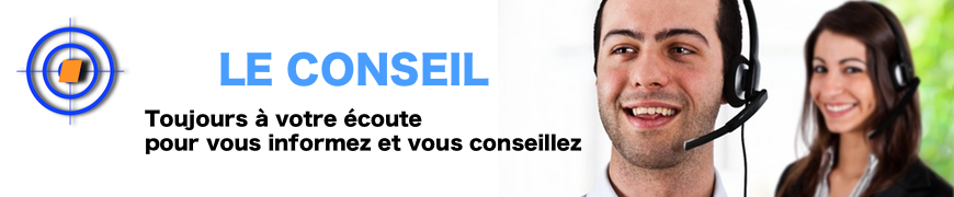 Comment se débarrasser des punaises de lit, des cafards, des souris ?