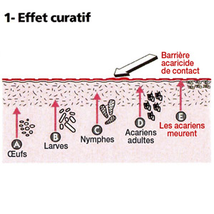 Anti acariens a effet curatif