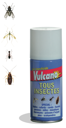 VULCANO Tous insectes 100 m3